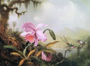 Orchids and Hummingbirds by Martin Johnson Heade - Oil Painting Reproduction