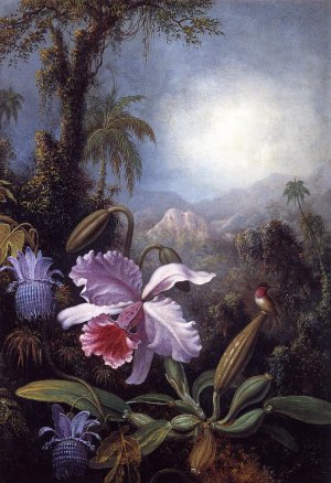 Orchids, Passion Flowers and Hummingbird