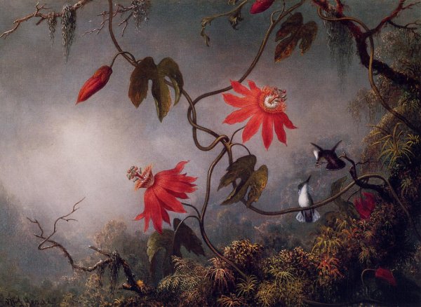 Passion Flowers and Hummingbirds by Martin Johnson Heade - Hand-Painted Oil Painting Reproduction