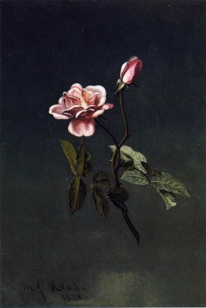 Pink Rose Oil painting by Martin Johnson Heade