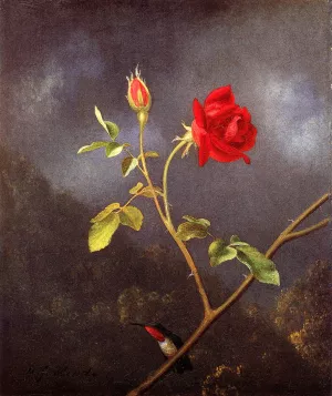 Red Rose with Ruby Throat painting by Martin Johnson Heade