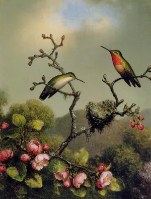 Ruby Throat of North America by Martin Johnson Heade - Oil Painting Reproduction