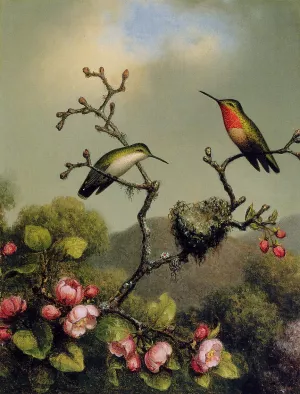 Ruby Throat of North America Oil painting by Martin Johnson Heade