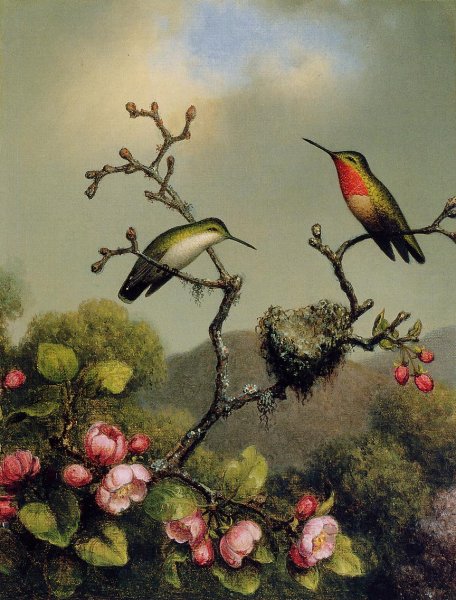 Ruby Throat of North America by Martin Johnson Heade - Hand-Painted Oil Painting Reproduction