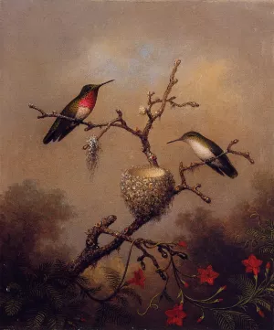 Ruby-Throated Hummingbird by Martin Johnson Heade - Oil Painting Reproduction