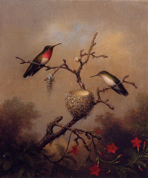 Main Product Photo of Ruby-Throated Hummingbird Painting by Martin Johnson Heade