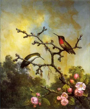 Ruby-Throated Hummingbirds with Apple Blossoms