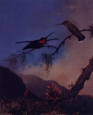 Strip-Breasted Starthroat by Martin Johnson Heade - Oil Painting Reproduction