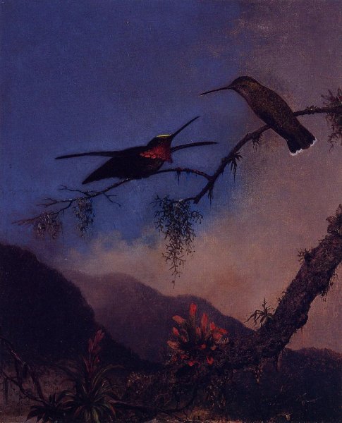 Main Product Photo of Strip-Breasted Starthroat Painting by Martin Johnson Heade