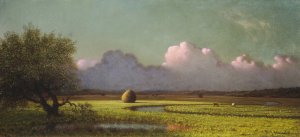 Sunlight and Shadow - The Newbury Marshes by Martin Johnson Heade Oil Painting