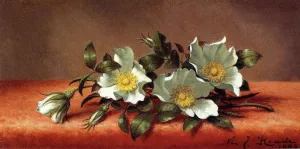 The Cherokee Rose Oil painting by Martin Johnson Heade