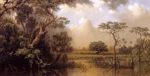 The Great Florida Marsh Oil painting by Martin Johnson Heade