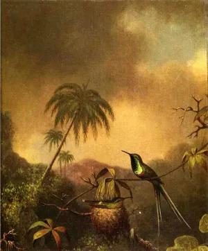 Thorn-Tail, Brazil by Martin Johnson Heade Oil Painting