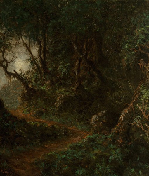 Tropical Greenery  by Martin Johnson Heade - Hand-Painted Oil Painting Reproduction