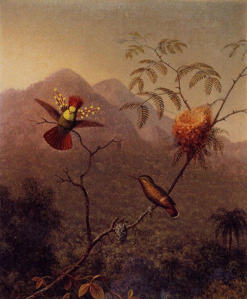 Main Product Photo of Tufted Coquette Painting by Martin Johnson Heade