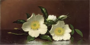 Two Cherokee Rose Blossoms on a Table by Martin Johnson Heade - Oil Painting Reproduction