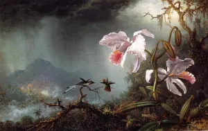 Two Fighting Hummingbirds with Two Orchids by Martin Johnson Heade - Oil Painting Reproduction