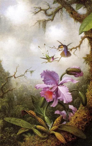 Two Hummingbirds and a Pink Orchid by Martin Johnson Heade Oil Painting