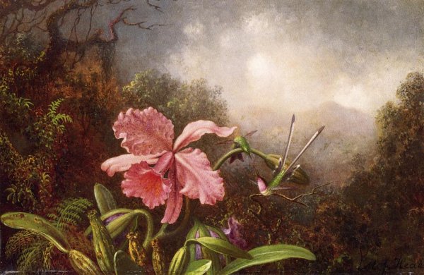 Two Hummingbirds by an Orchid by Martin Johnson Heade - Hand-Painted Oil Painting Reproduction