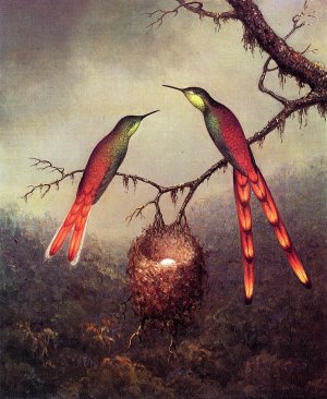 Two Hummingbirds Guarding an Egg