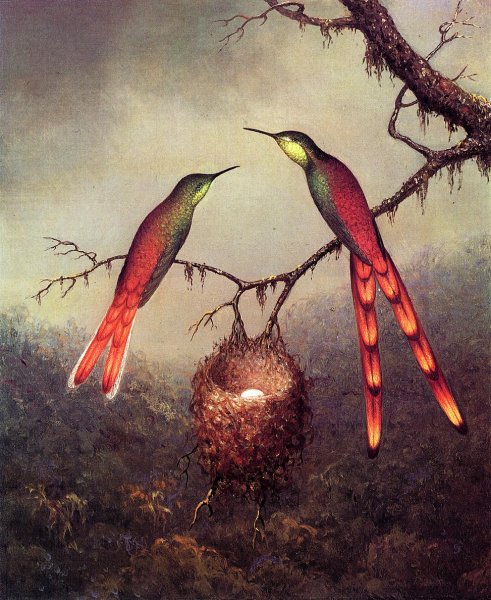Main Product Photo of Two Hummingbirds Guarding an Egg Painting by Martin Johnson Heade