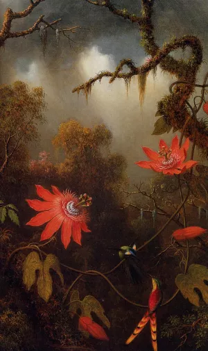 Two Hummingbirds Perched on Passion Flower Vines painting by Martin Johnson Heade