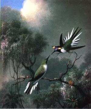 Two Hummingbirds - Sun Gems, Heliactin Cormuta by Martin Johnson Heade - Oil Painting Reproduction