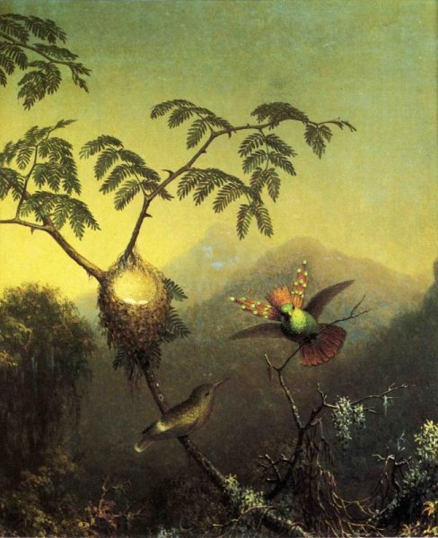 Main Product Photo of Two Hummingbirds: Tufted Coquettes Painting by Martin Johnson Heade