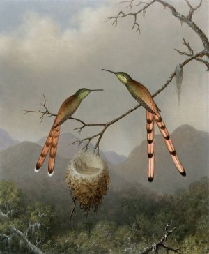 Two Hummingbirds with Their Young by Martin Johnson Heade Oil Painting