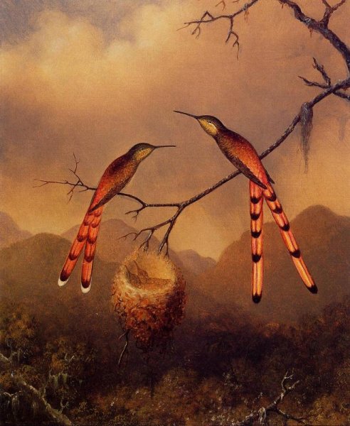 Main Product Photo of Two Hummingbirds with Their Young Painting by Martin Johnson Heade