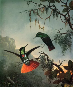 Two Hummingbirds by Martin Johnson Heade Oil Painting