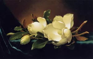 Two Magnolias and a Bud on Teal Velvet painting by Martin Johnson Heade