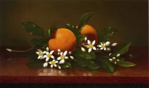 Two Oranges with Orange Blossoms Oil painting by Martin Johnson Heade