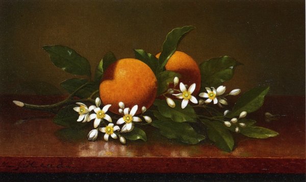 Two Oranges with Orange Blossoms