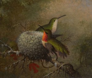 Two Ruby Throats By Their Nest by Martin Johnson Heade Oil Painting