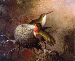 Two Ruby Throats by Their Nest by Martin Johnson Heade Oil Painting