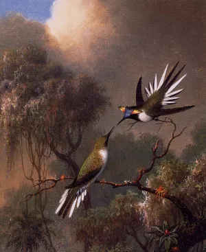 Two Sun Gems on a Branch painting by Martin Johnson Heade
