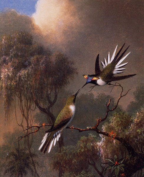 Two Sun Gems on a Branch by Martin Johnson Heade - Hand-Painted Oil Painting Reproduction