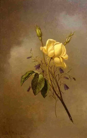 White Rose against a Cloudy Sky by Martin Johnson Heade - Oil Painting Reproduction