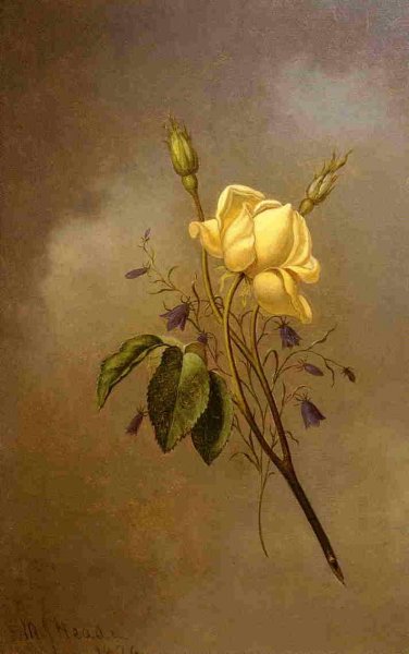 White Rose against a Cloudy Sky by Martin Johnson Heade - Hand-Painted Oil Painting Reproduction