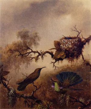 White-Vented Violet-Eared by Martin Johnson Heade - Oil Painting Reproduction