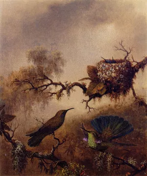 White-Vented Violet-Eared Oil painting by Martin Johnson Heade