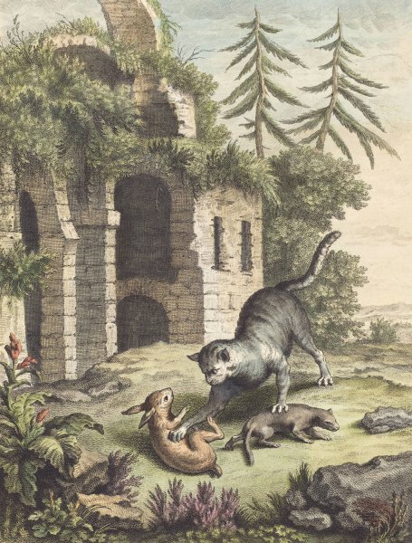 Main Product Photo of Le chat, la balette et le petit lapin  Painting by Martin Marvie