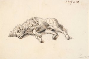 Liggende puddelhund by Martinus Rorbye Oil Painting