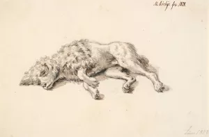 Liggende puddelhund Oil painting by Martinus Rorbye