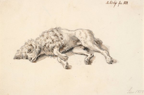 Main Product Photo of Liggende puddelhund  Painting by Martinus Rorbye