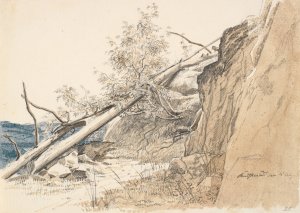 Tree Trunk Leaning Against a Rock. Norway by Martinus Rorbye Oil Painting