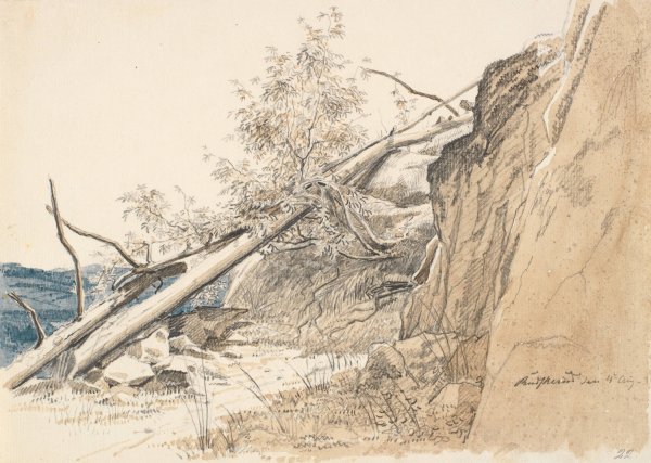 Main Product Photo of Tree Trunk Leaning Against a Rock. Norway  Painting by Martinus Rorbye