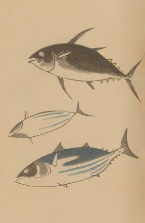 Choju ryakugashiki, Pl.42 by Masayoshi Kitao Oil Painting