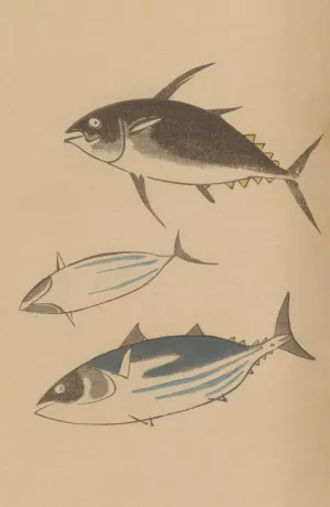Choju ryakugashiki, Pl.42 by Masayoshi Kitao Oil Painting